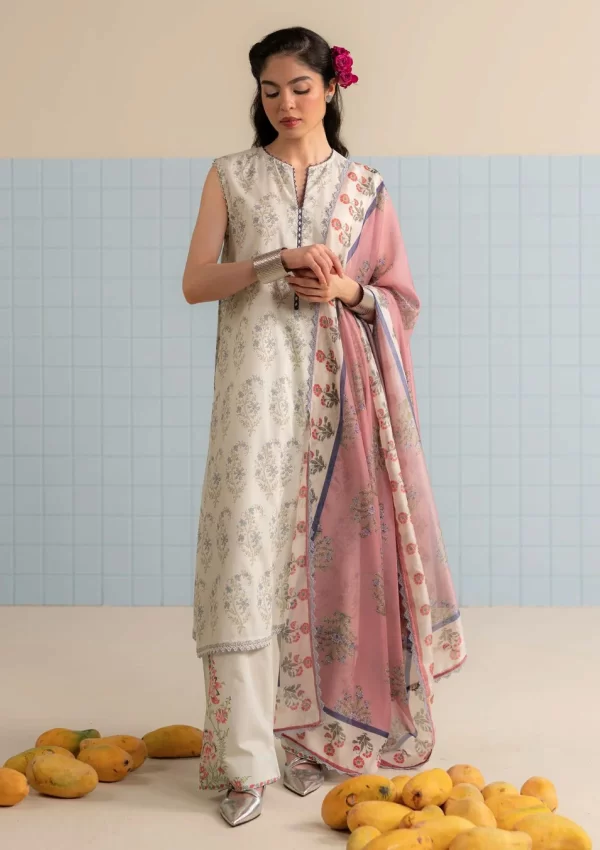 coco by zara shajahan vol 3 collection 2025 | CPV#3B - Tinsa