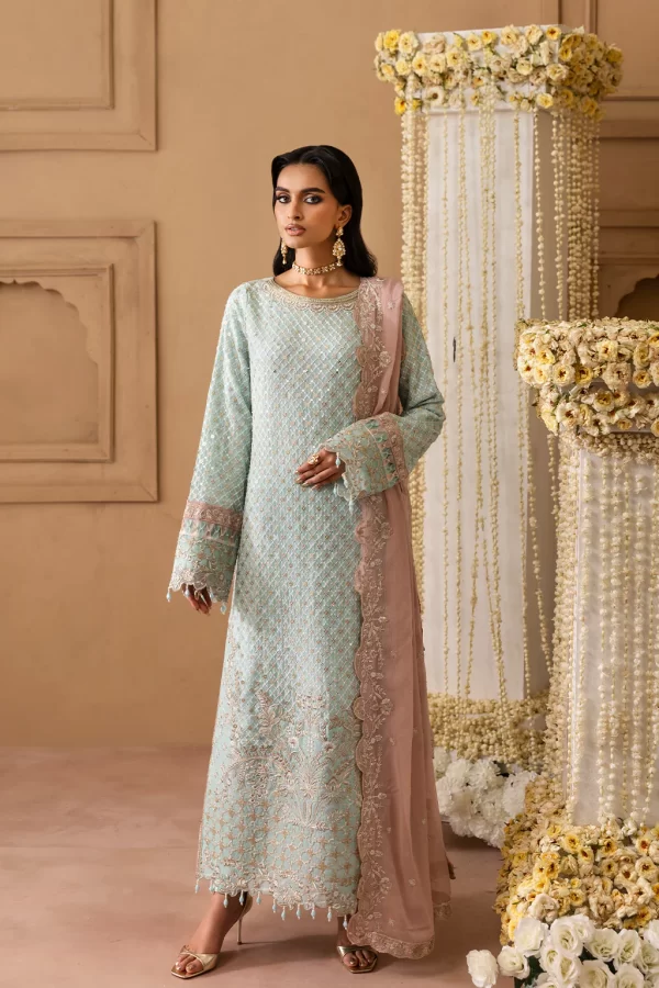 Emaan Adeel shehzadi Chiffon collection 2025 | AARIZ